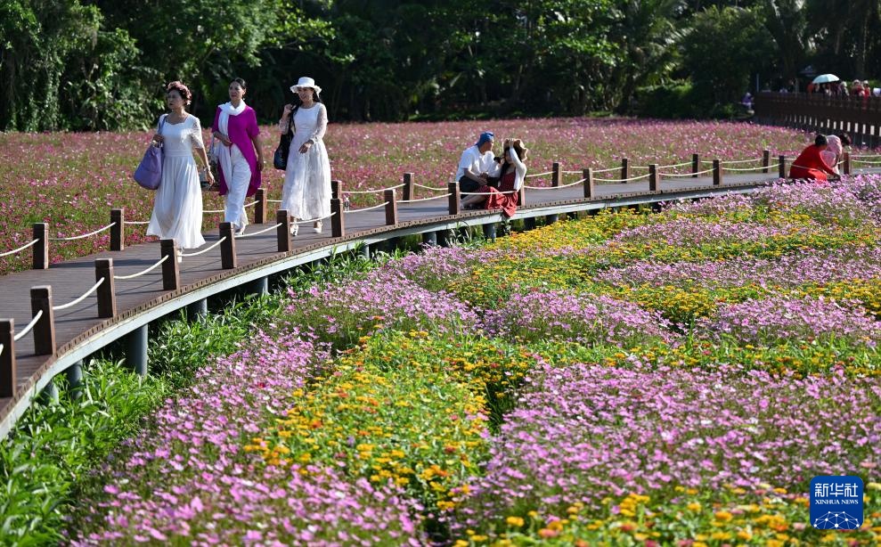 博鳌花开迎客来