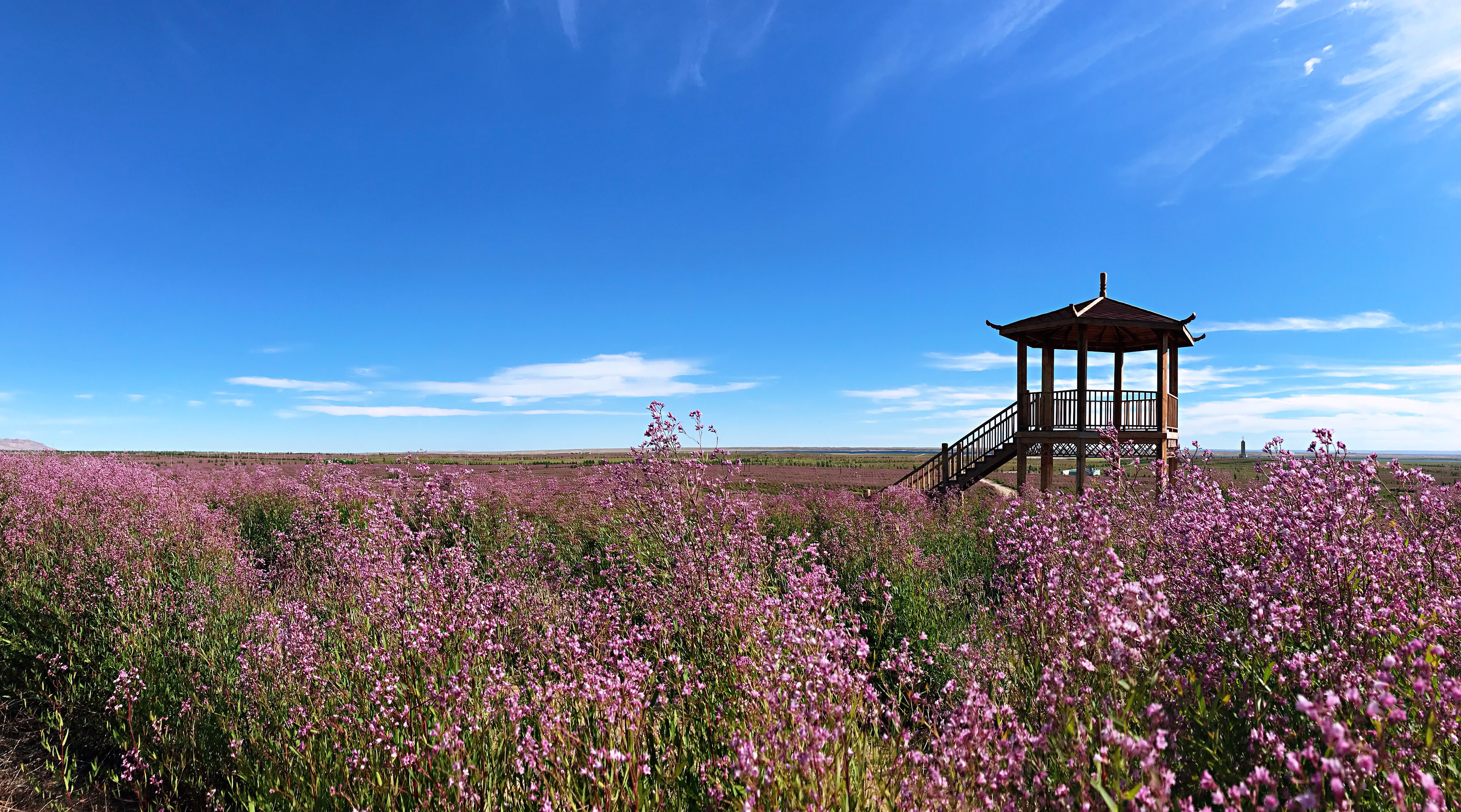 Image_1768543127326_512