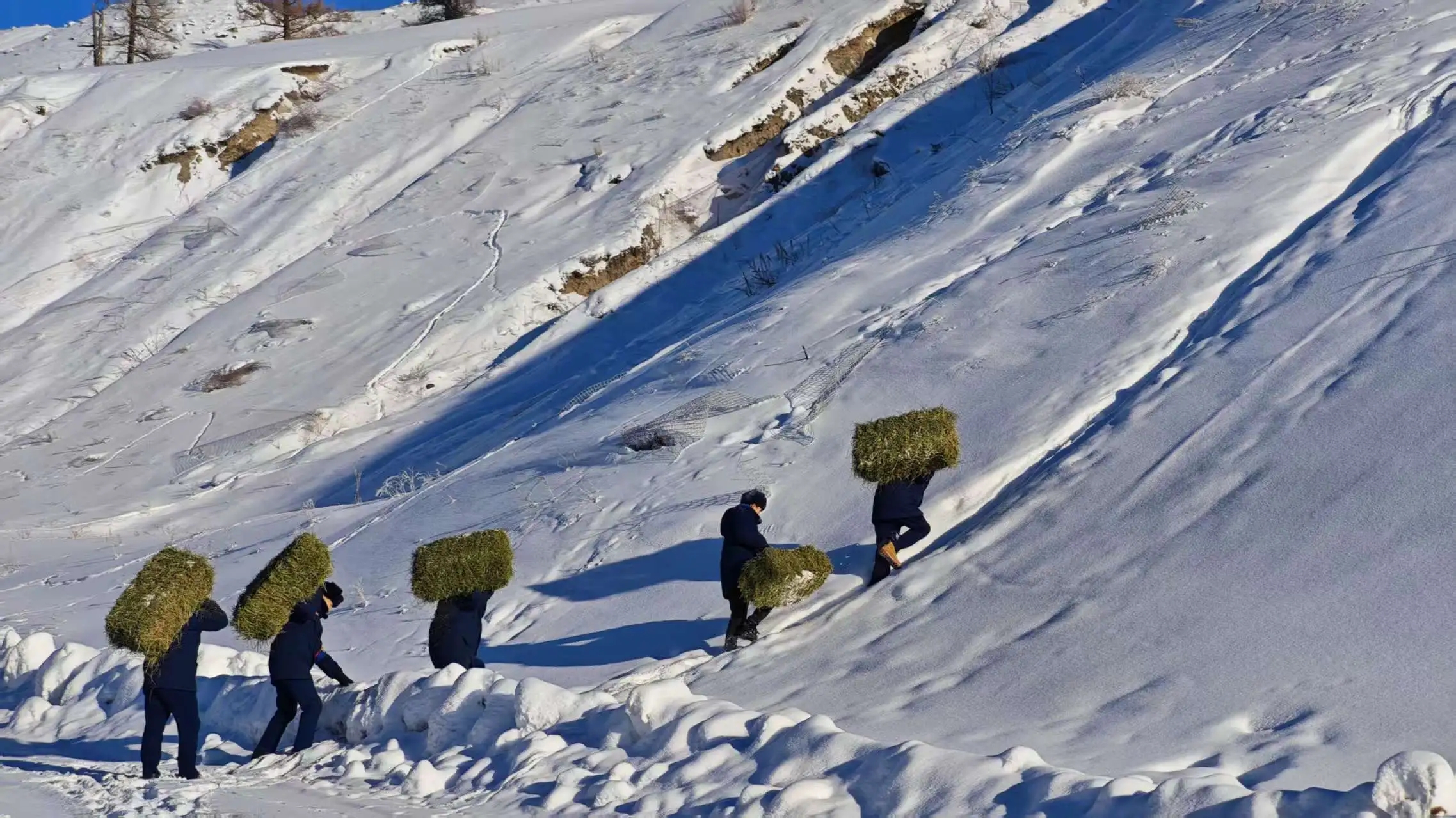 mmexport1768873833741