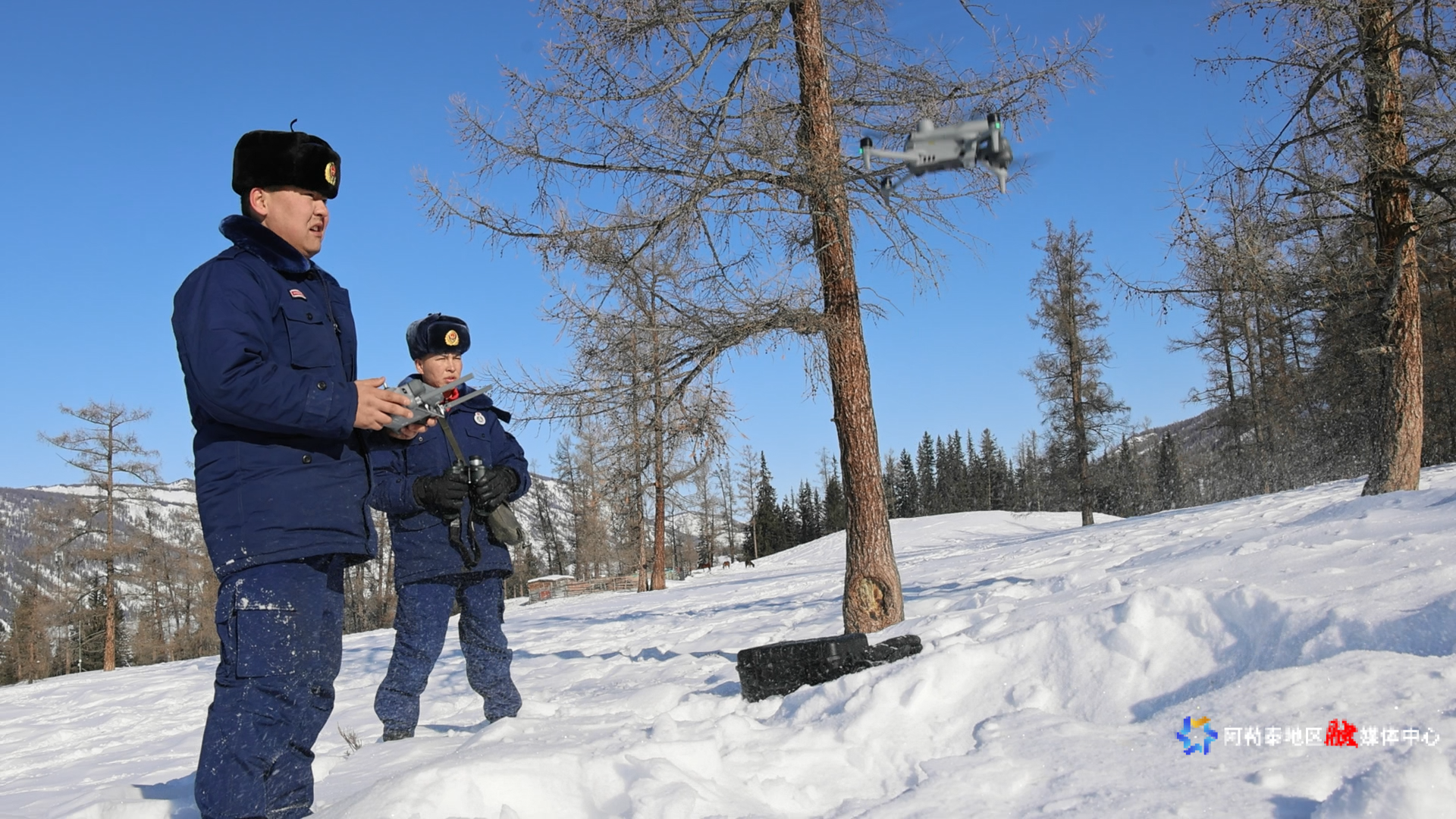 mmexport1772614610726