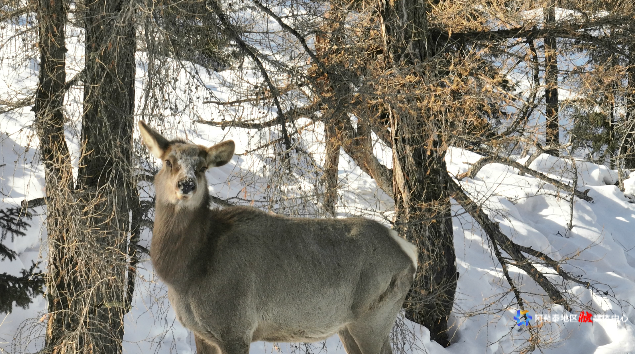 mmexport1772614830552